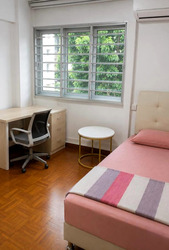 Blk 32 Holland Close (Queenstown), HDB 3 Rooms #624492931
